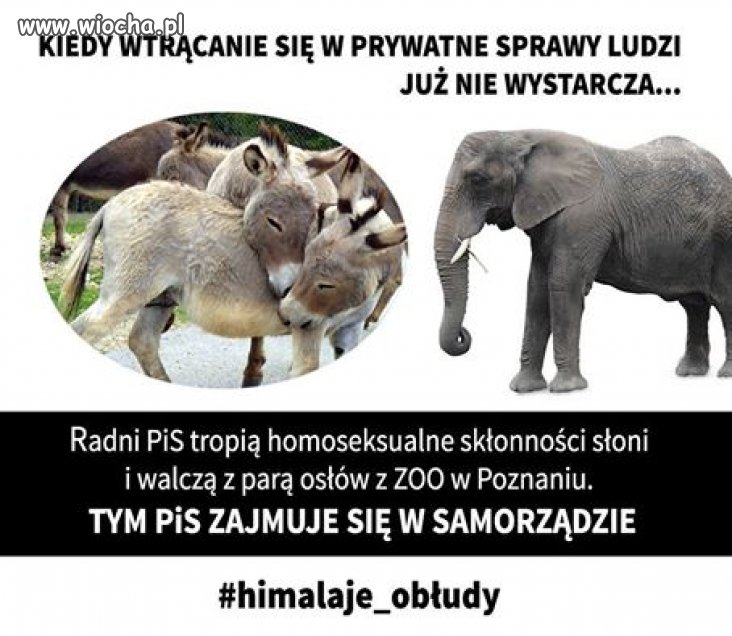 Mają te problemy... 
