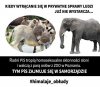Mają te problemy... 