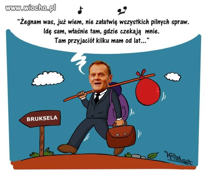Strzał w 