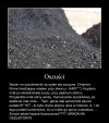 W tych czasach ciężko o uczciwość