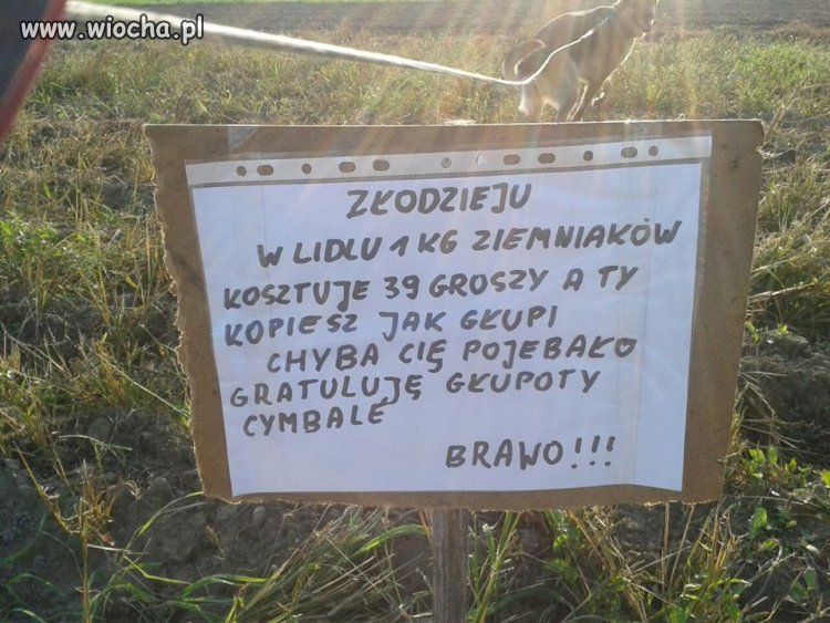Chyba kogoś p...