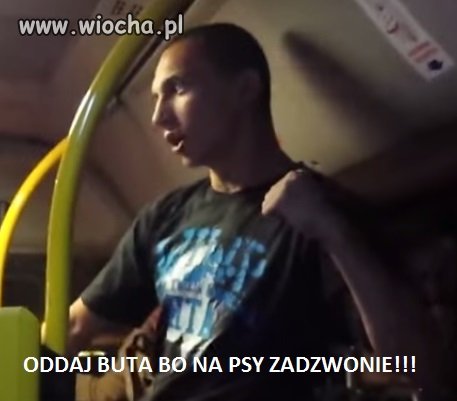 DRESY...