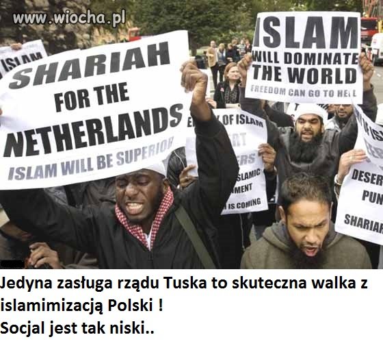 Chyba jestem pierwszym