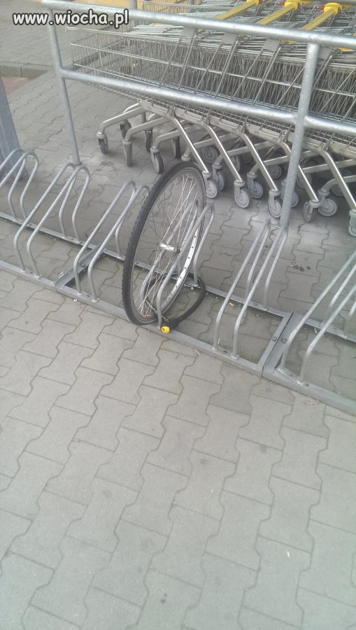 Mój kraj taki piękny