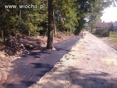 "drogą"w drzewko 