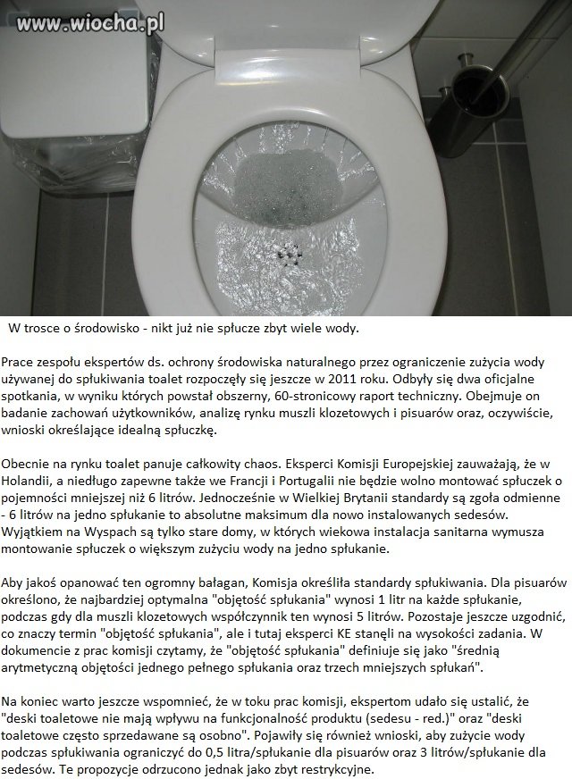 Wg specjalistów wszyscy są równi