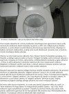 Wg specjalistów wszyscy są równi