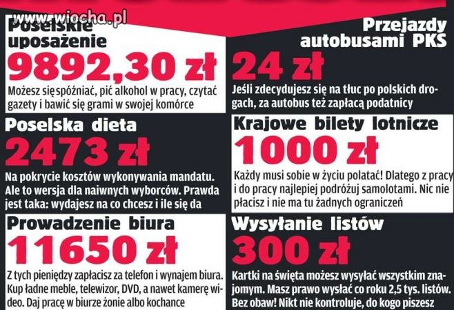 Myślisz, że idą do władzy PO porządek?