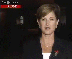 Reporterska