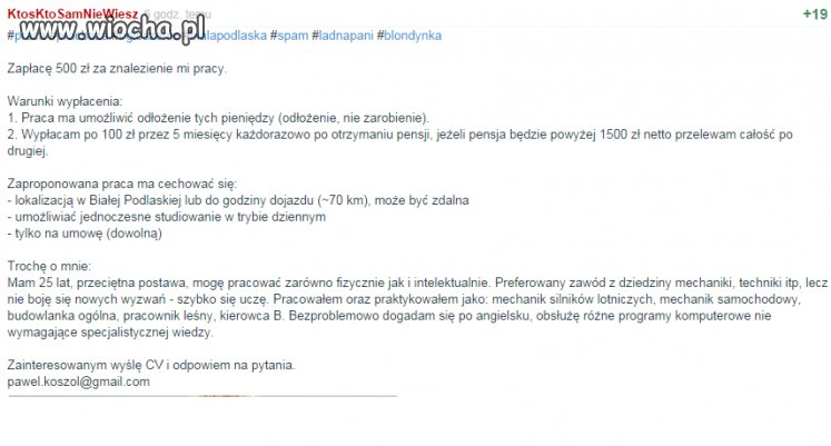 500zł za znalezienie pracy 