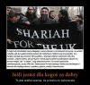 A najsmutniejsze jest to że gdyby nie wierzyli w islam