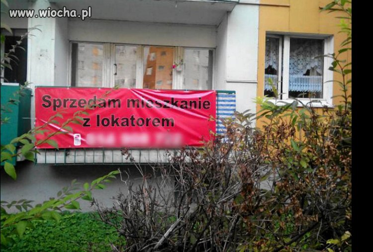 Oferta w Polsce