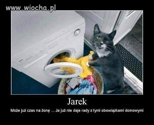 Co na to Jarosław?