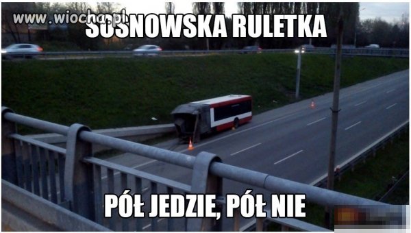 Jaszczurka w czasie zagrożenia