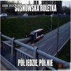 Jaszczurka w czasie zagrożenia