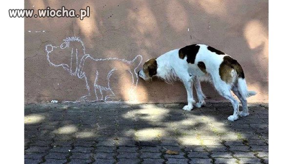 Hahahaha