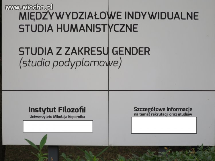 Studia z zakresu Gender