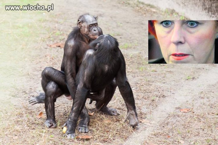 Ona im tego nie daruje... 