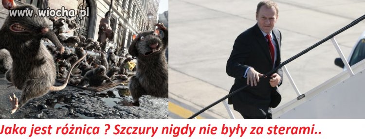 Kapitan nigdy nie ucieka pierwszy