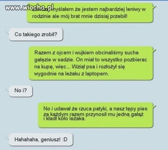 Lenistwo