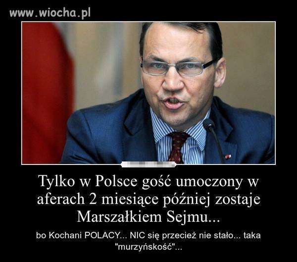 Polacy nic