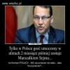 Polacy nic