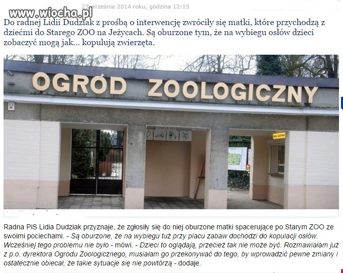 Głosujcie na takich oszołomów