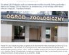 Głosujcie na takich oszołomów