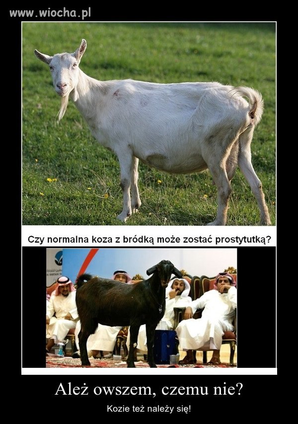 KTOŚ TO KIEDYŚ ŚPIEWAŁ