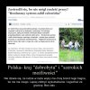 WCALE SIĘ NIE DZIWIE W TAKIM KRAJU
