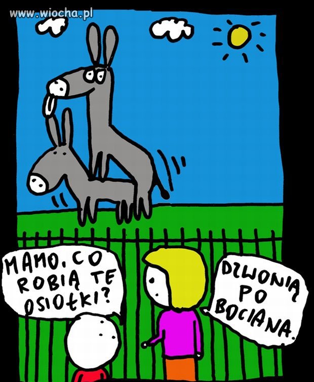 Dzięki interwencji internautów