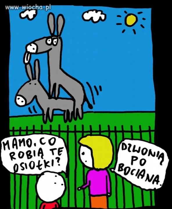 Dzięki interwencji internautów