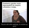Kto takich wybiera... 