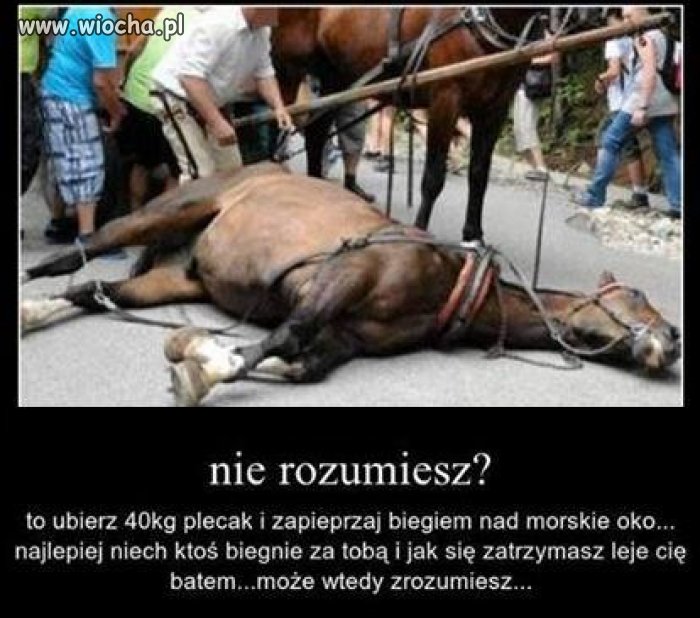 Proste... 