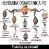 Jaki kraj taka OŚMIARNICA 
