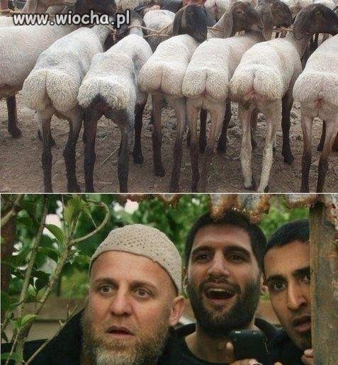 Nie mogłem się powstrzymać ze śmiechu