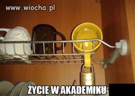 Opis mówi