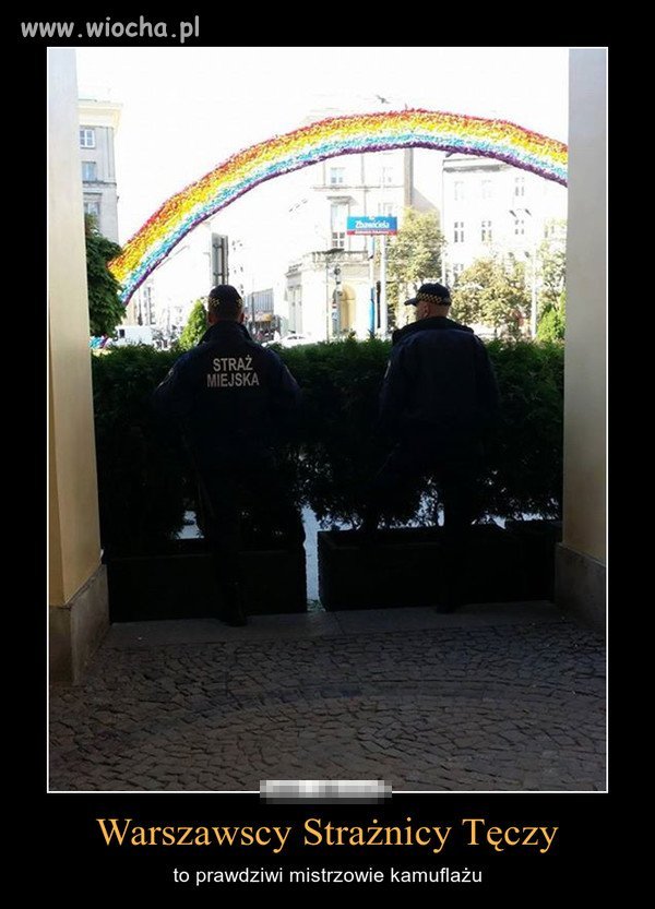 Na głupoty są pieniądze