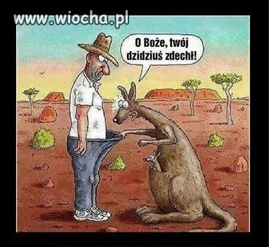 Gdy Ci zajrzą w torbę. 