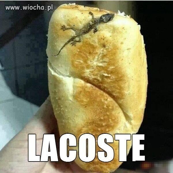 Lacoste