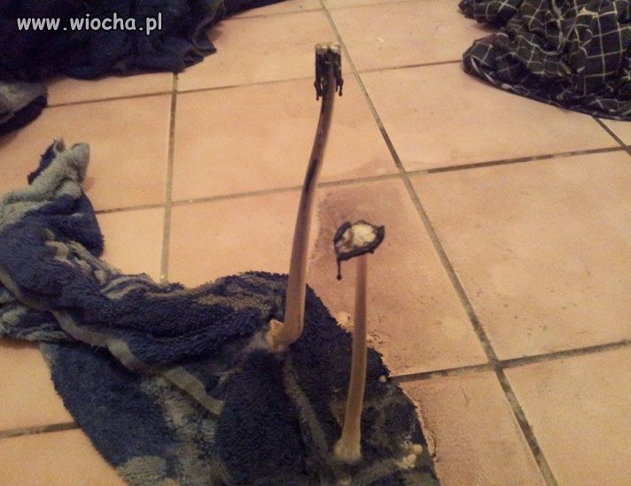 Ciekawe jak długo tam leży?