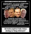 Jak długo lemingi i ich teoria będzie miała 