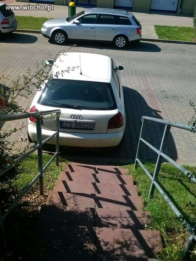 Tak się pracuje w Szczecinie