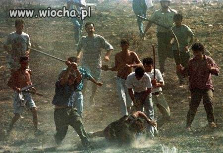 Tak tylko się bawili