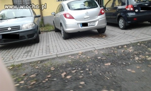 Bo grunt to dobra rejestracja