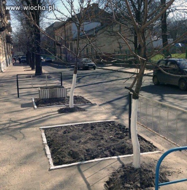 Tymczasem na pewnym chodniku