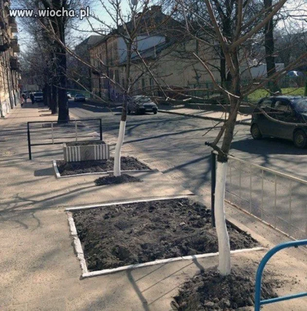 Tymczasem na pewnym chodniku