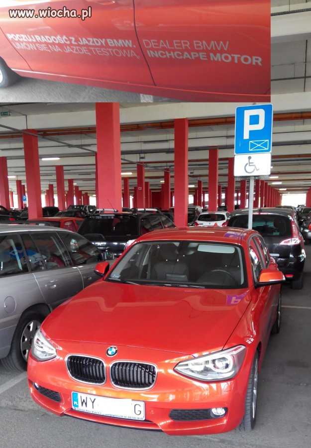 Poczuj radość z jazdy kosztem niepełnosprawnych