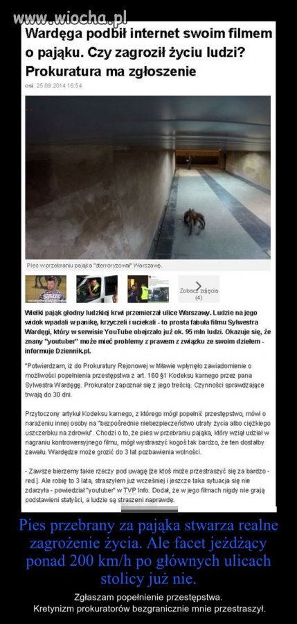 NIE ZAJMUJĄ SIĘ PRAWDZIWYMI WYKROCZENIAMI