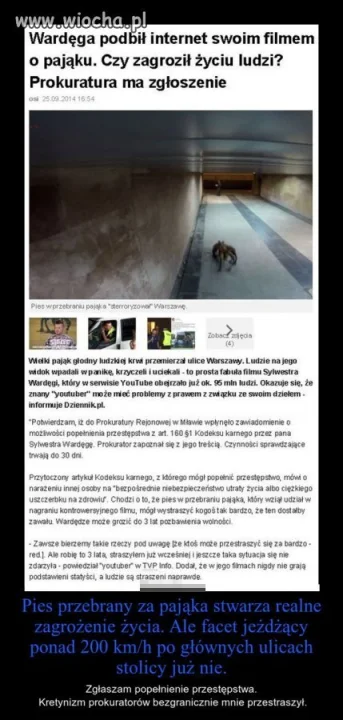 NIE ZAJMUJĄ SIĘ PRAWDZIWYMI WYKROCZENIAMI